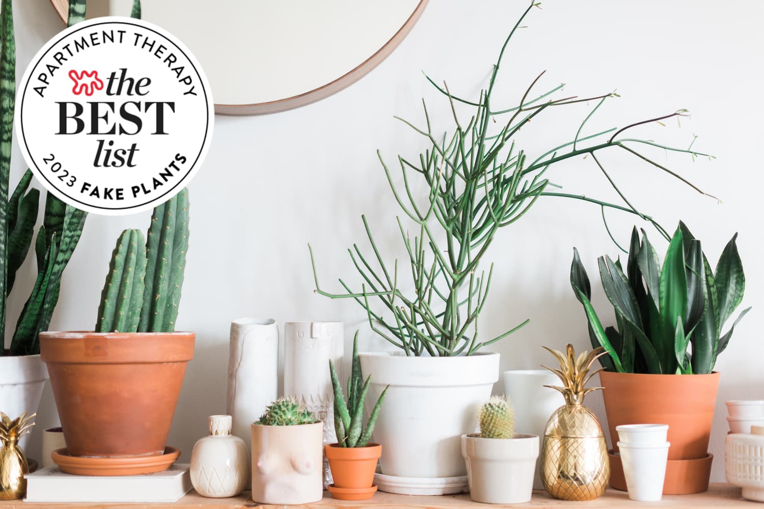 The Best Fake Plants of 2023, Tested By AT Editors Apartment Therapy